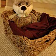 IMG-20251022-WA0001