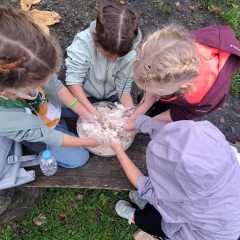 IMG-20251022-WA0016