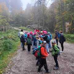 IMG-20251022-WA0053