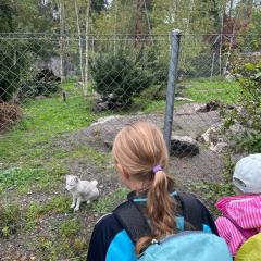 IMG-20220924-WA0005