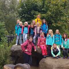 IMG-20220924-WA0022