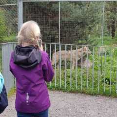 IMG-20220924-WA0033